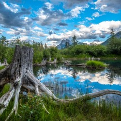 Canadas Jurassic World